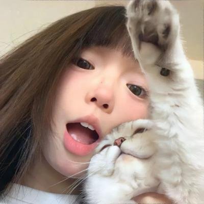 加菲猫和他的朋友们第七季